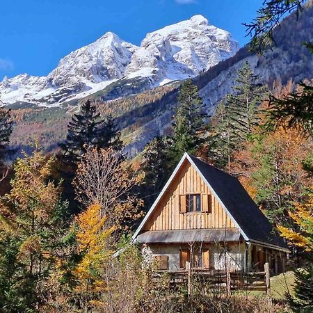 Cozy Private Cabin In The Heart Of Triglav National Park トレンタ エクステリア 写真