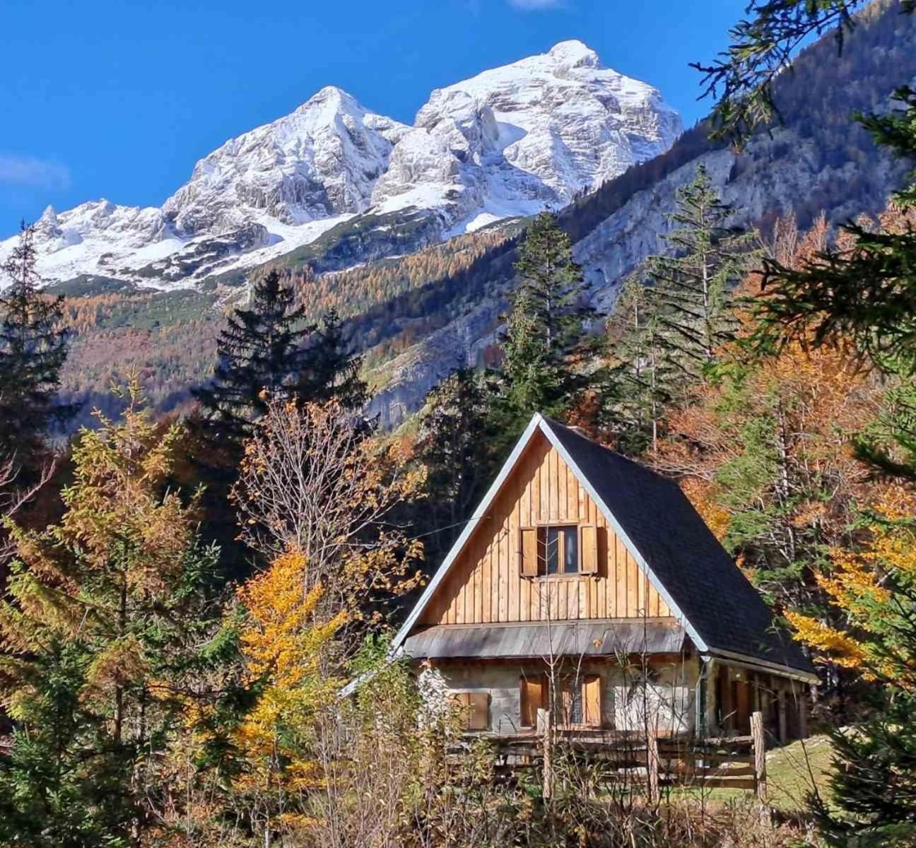 Cozy Private Cabin In The Heart Of Triglav National Park トレンタ エクステリア 写真